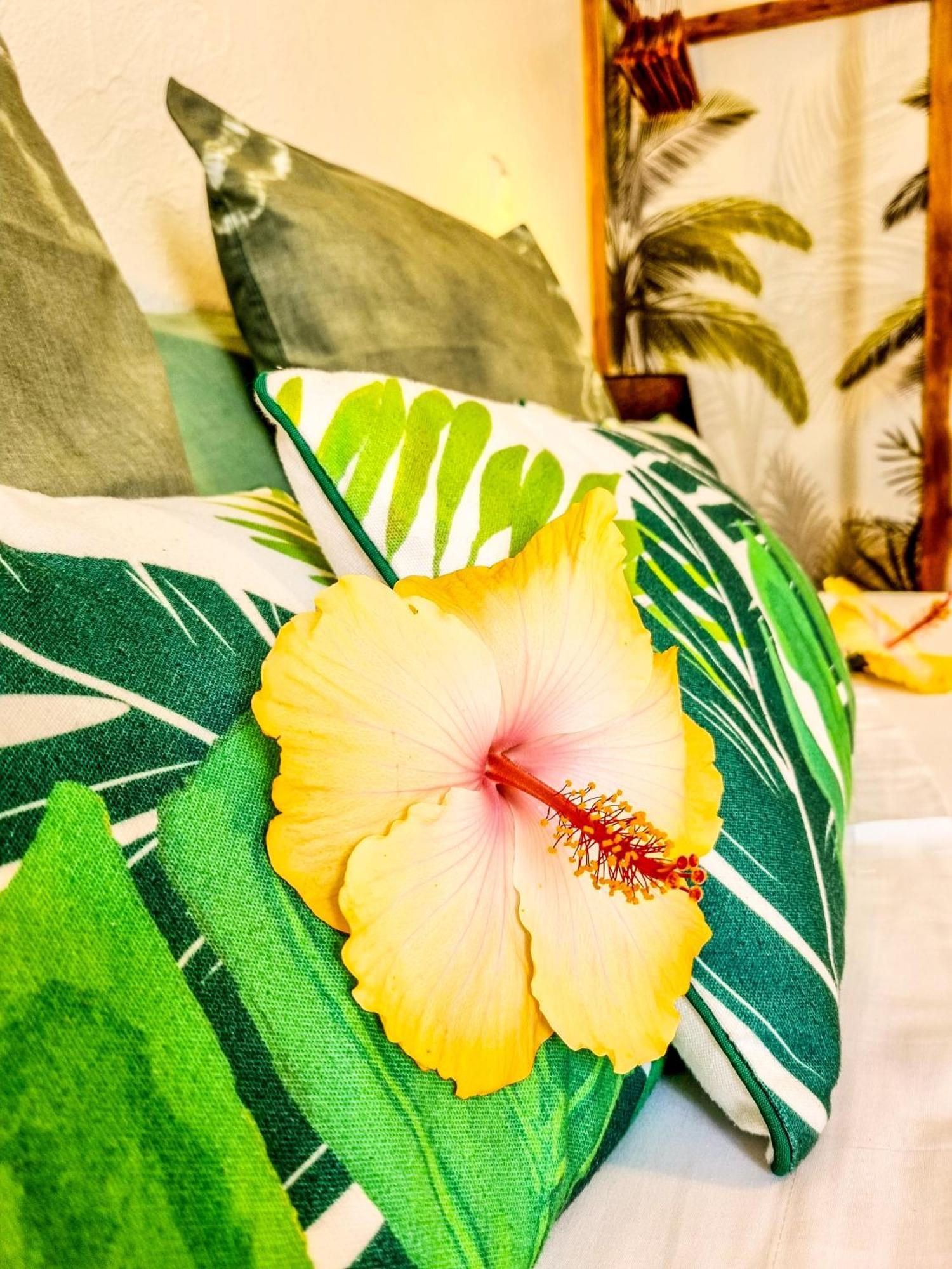 Maison D'Hotes Villa Des Mascareignes Petite Île 外观 照片